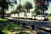 Bow Tie Removals fleet of trucks parked at Centennial Parklands located in the Eastern Suburbs of Sydney